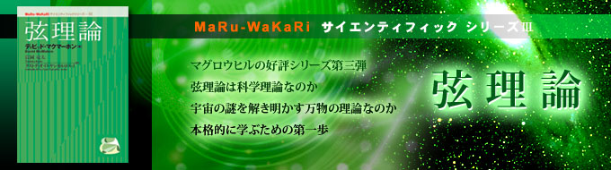 MaRu-WaKaRiサイエンティフィックシリーズIII 弦理論